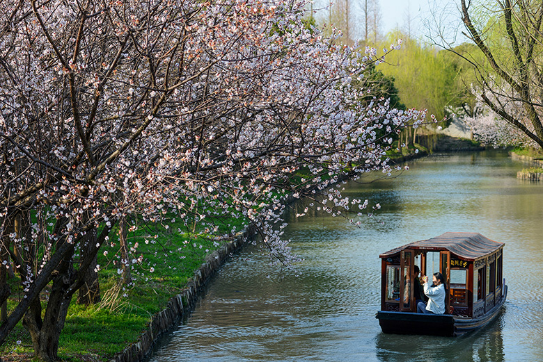在城外，与水与风相遇：同里湿地公园的慢时光